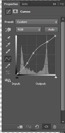 How to Create Brushes from Photographs 13